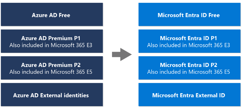 licenze microsoft